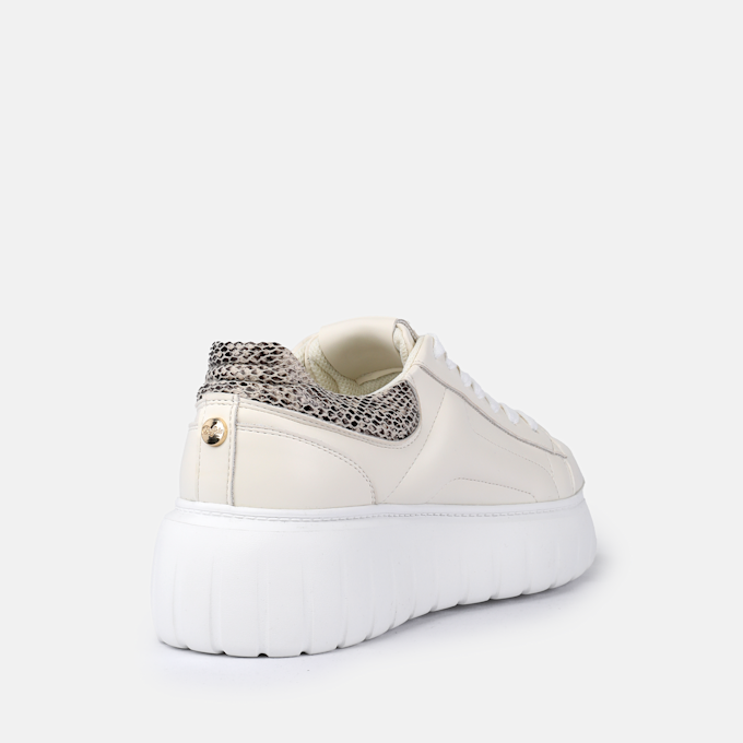Buffalo Queen One bianco 97238 3