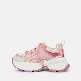 Buffalo Saturn Lace rose