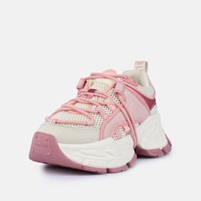 Buffalo Saturn Lace rose