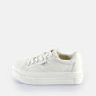 Buffalo Paired white 64482 1
